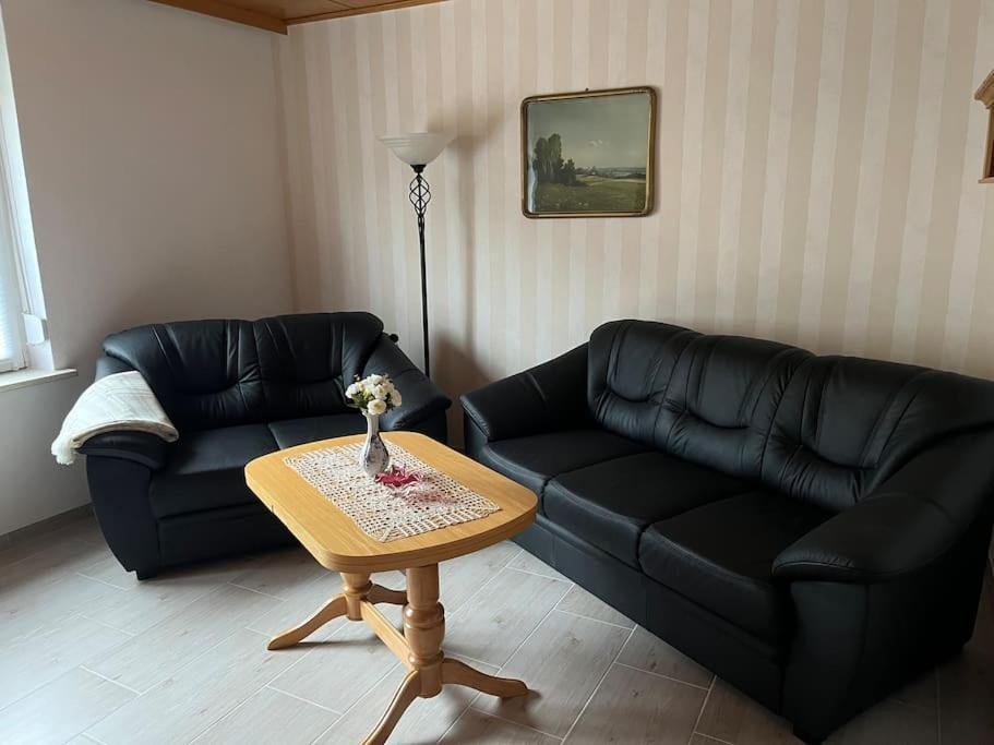 Haus Bernsteinsee Mit Goitzsche-Schnuppersegeln Friedersdorf  Экстерьер фото